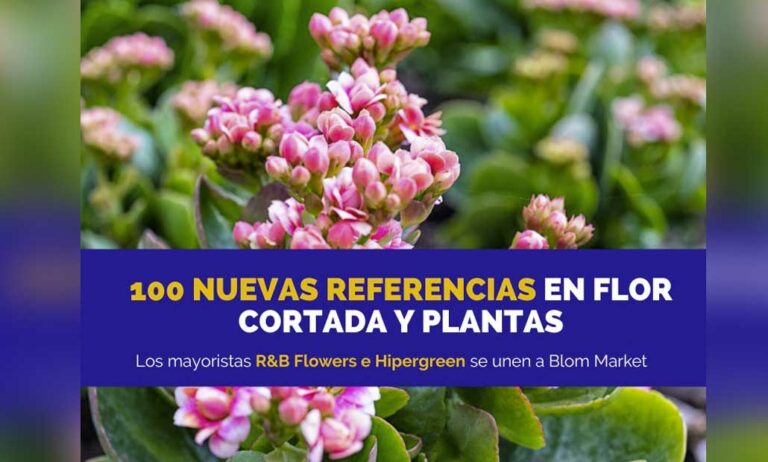 blom_market_16062022101007