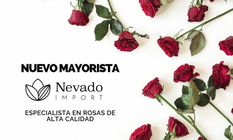blom_market_nevadorosas_27012023101241