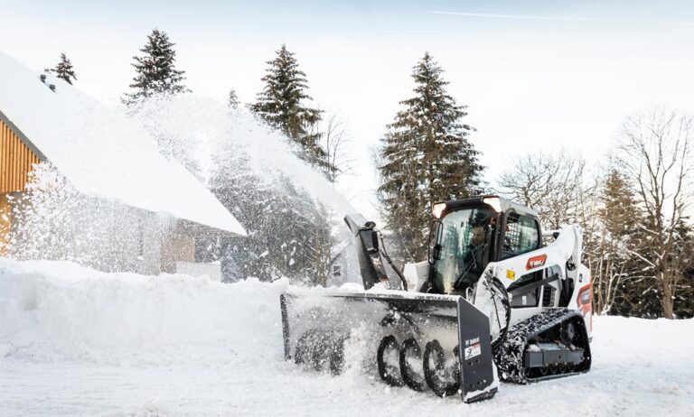 bobcat_14012022102308