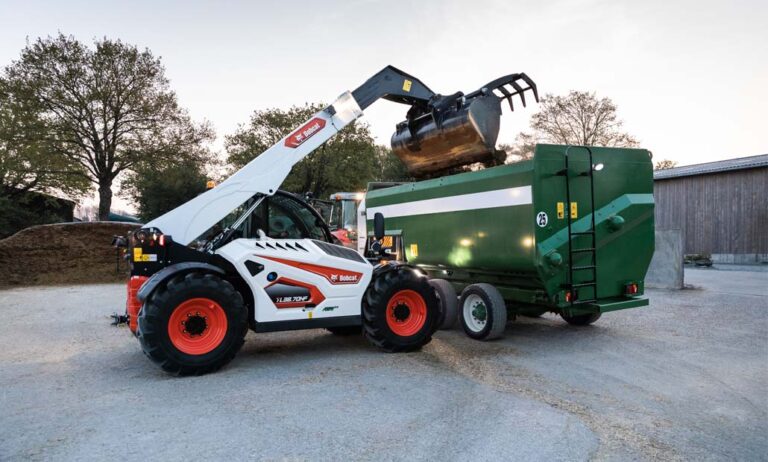 bobcat_31052021113157