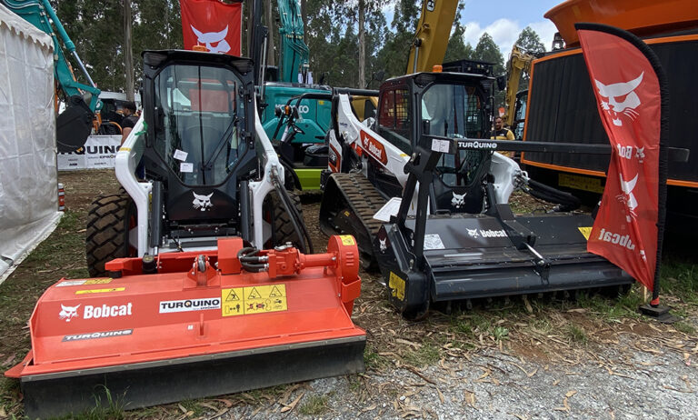 bobcat_en_galiforest_08072024085204