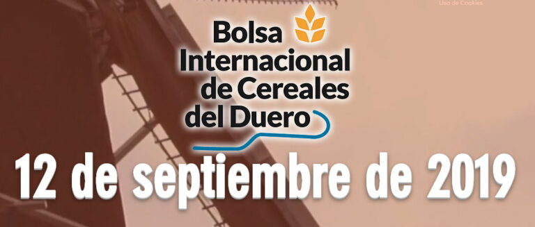 bolsa-cereales_28082019075441