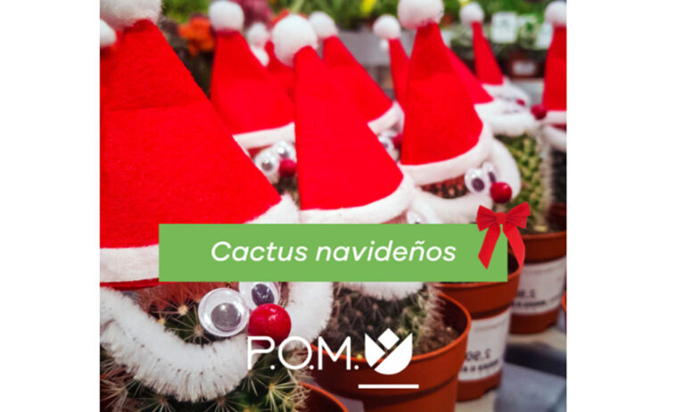 cactus_navideno_jpf_27112023085917