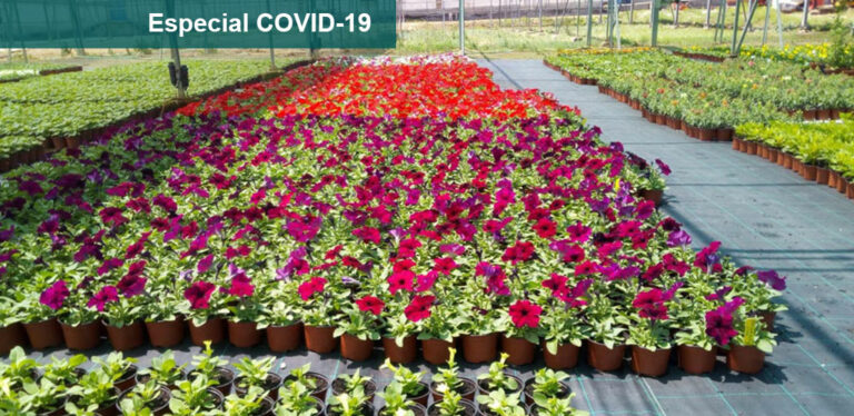 campana-sector_20032020104920