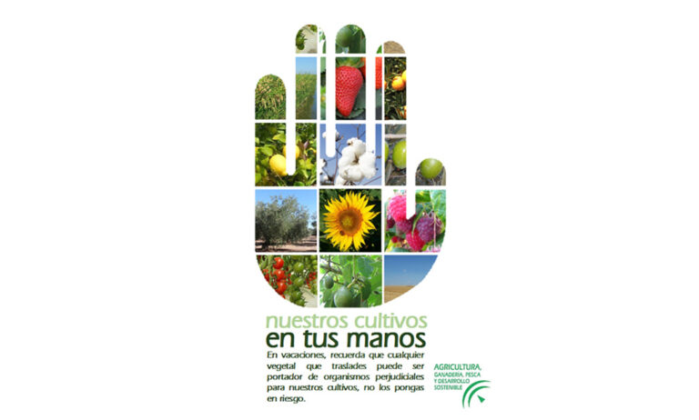 campana_junta_andalucia_23072019082727