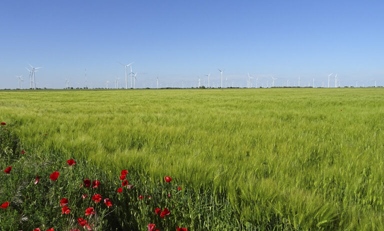 campo_07062019122349_09082019062029