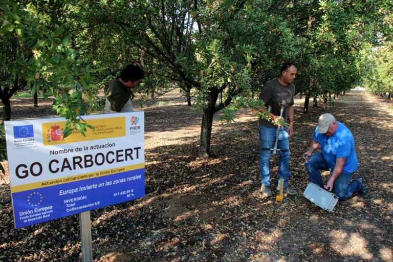 carbocert-almendro_30072020063606
