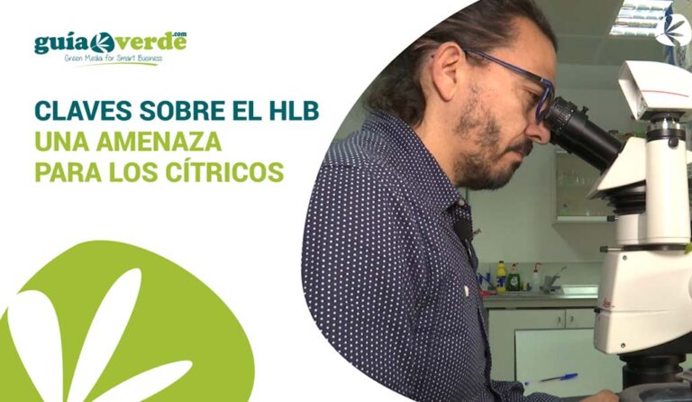 careta-febrero-3-hlb-gv_20022020110823