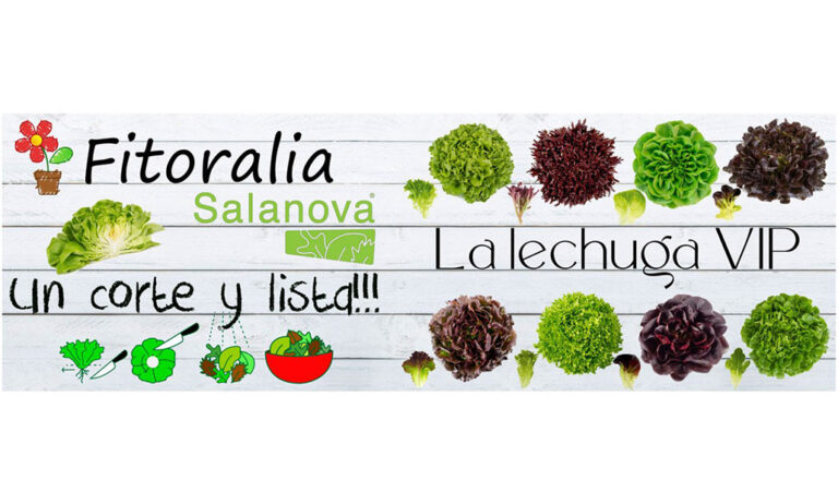 cartel-salanova-_06092022093426