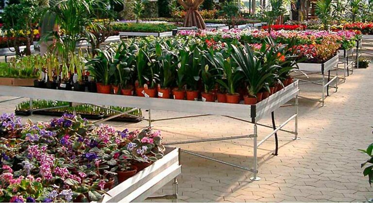 censo-gardens-23_25052023093031
