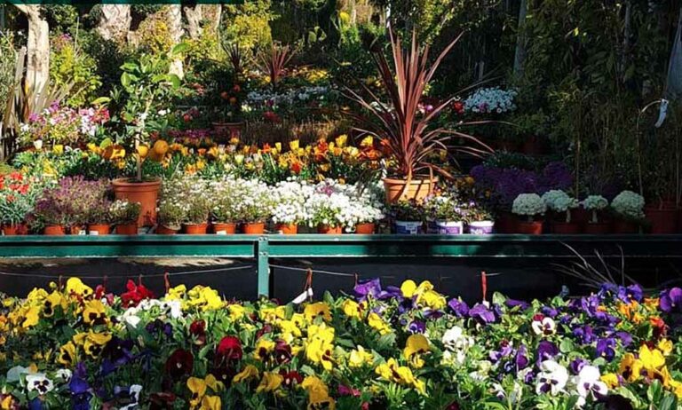 centro_de_jardineria_21092020133633