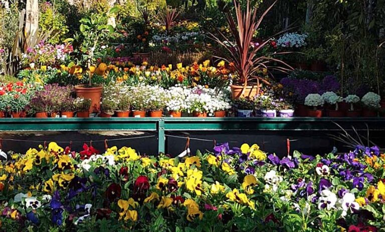 centro_de_jardineria_27102020095313