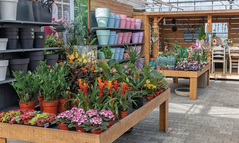 centro_de_jardineria_holand_31032021102725