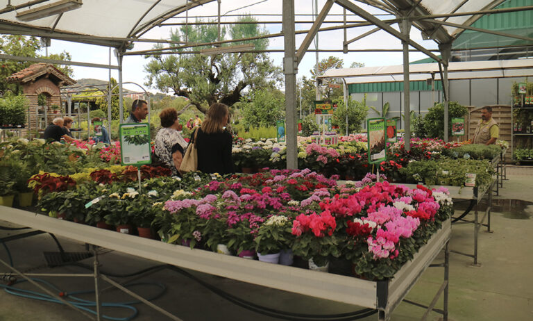 centrodejardineria_24032022102808