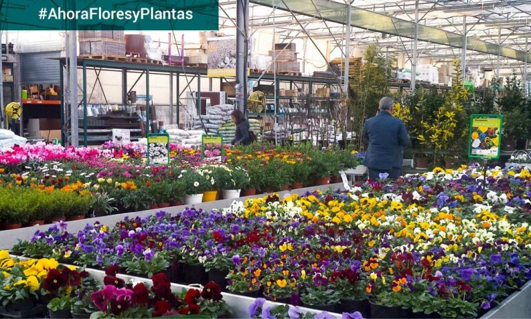 centros_de_jardineria_fase_cero_04052020080917