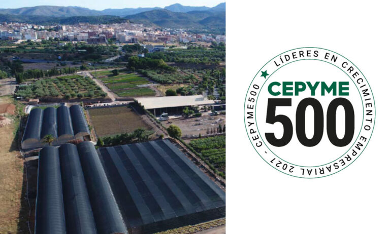 cepymemasdevalero_05112021103840