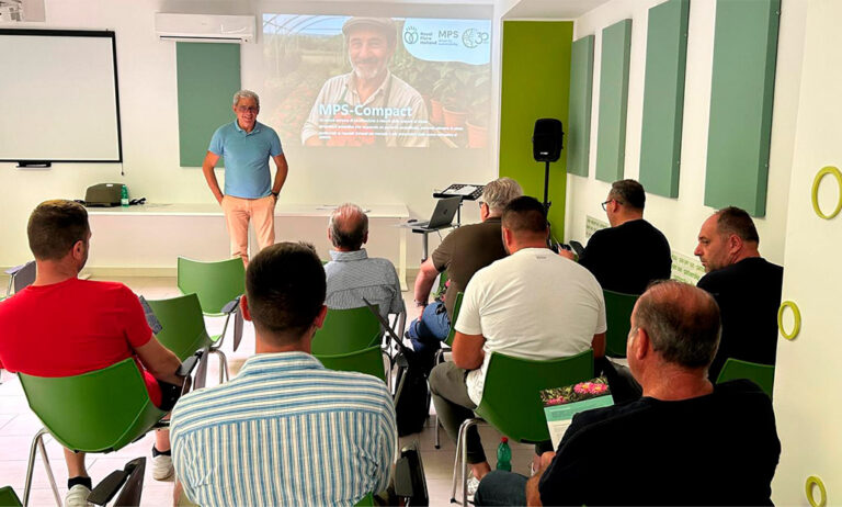 certificado-mps_01072025142810