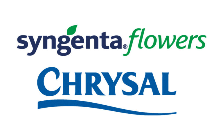 chrysal_syngenta_08062022170830