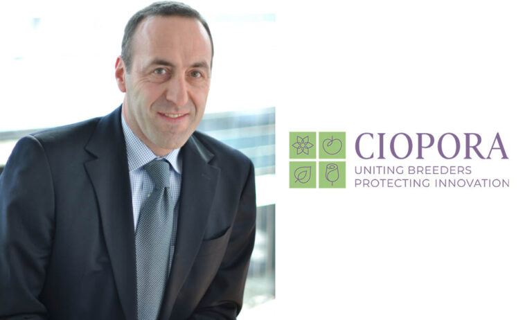 ciopora_16072020075009