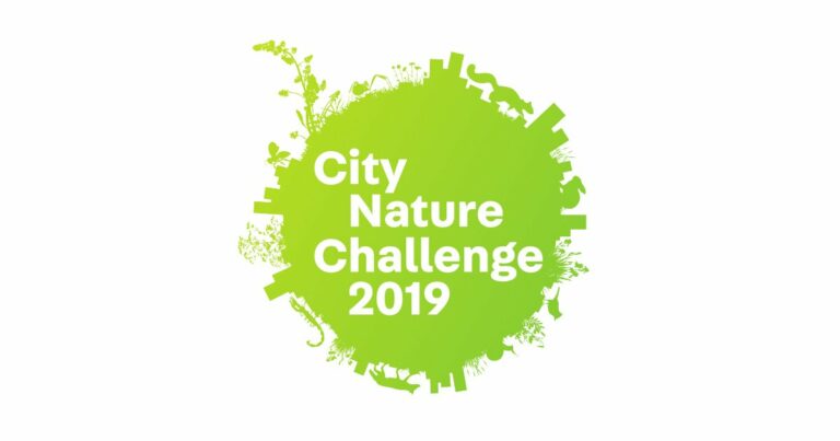city_natural_25042019103231