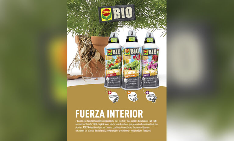compo_fortigo_04062024095807