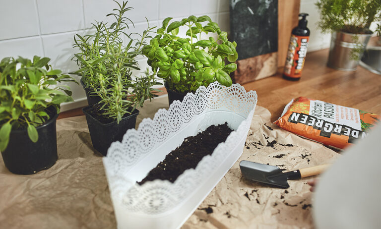 compo_kitchen_undergreen_04052021094213
