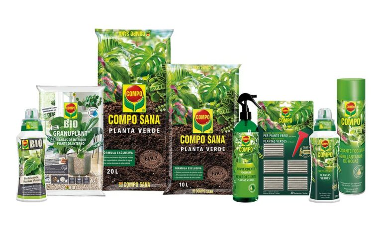 composana_04092025133052