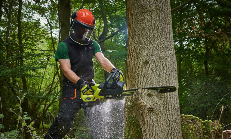 cortar_rama_arbol_02052025104524