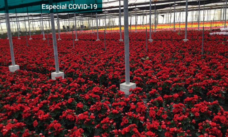 covid-espan-guiaverde_24032020153706