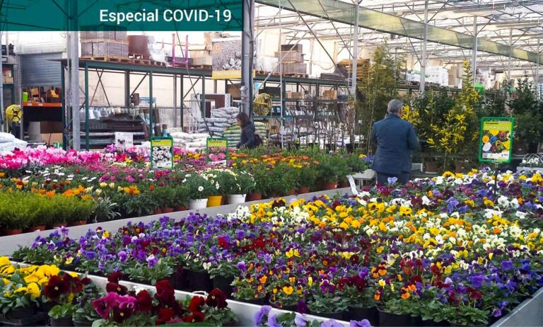 covid-garden-center_07042020094422