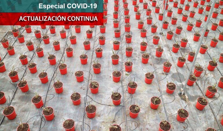 covid-gv_25032020091553