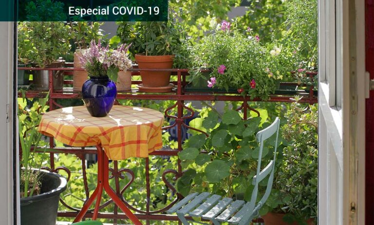 covid-plantas_17032020130145