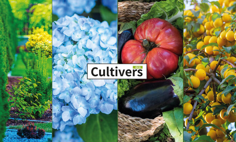 cultiverseco_28072022121214