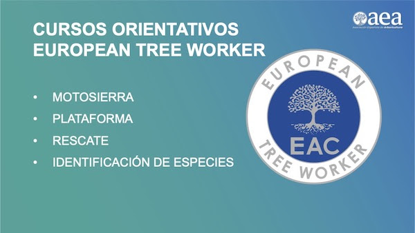 curso_aea_07022023093942