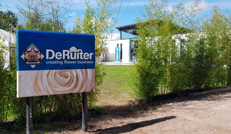 deruiter_22102024085549