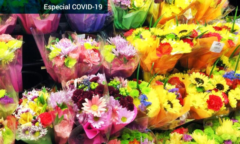 diadelamadre_24032020100509