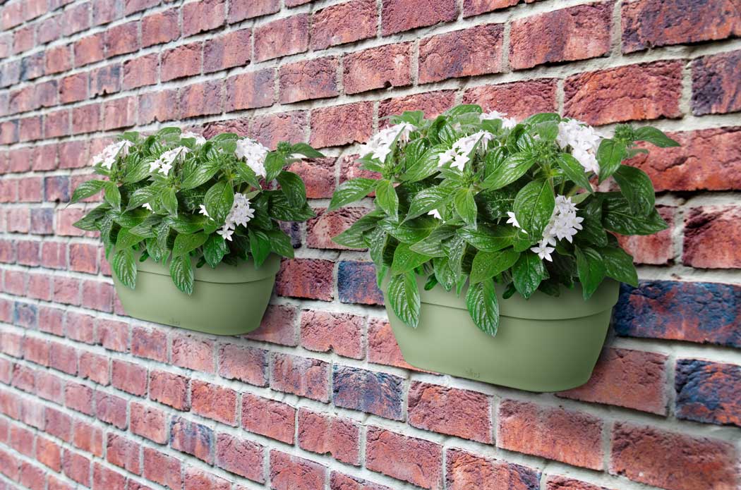 Vivia Campana wall