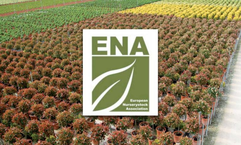 ena_07072020080708