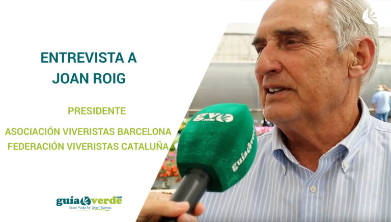 entrevista_joan_roig_20062019091557