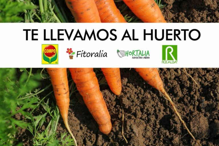 espacio-huerto-iberflora_29072021095143