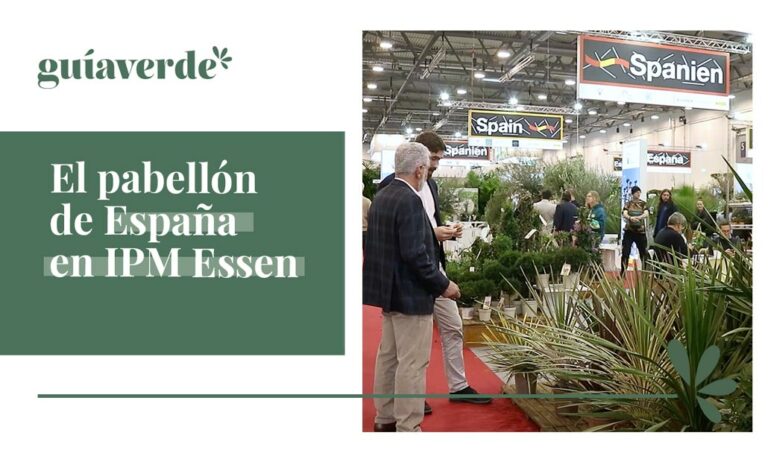 espipm_06022025130209