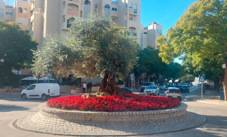 estepona01_05022025114744