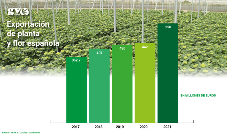exportacion_flor_y_planta_03012022111900
