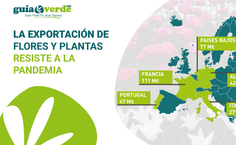 exportacion_flores_y_plantas_09032021105154