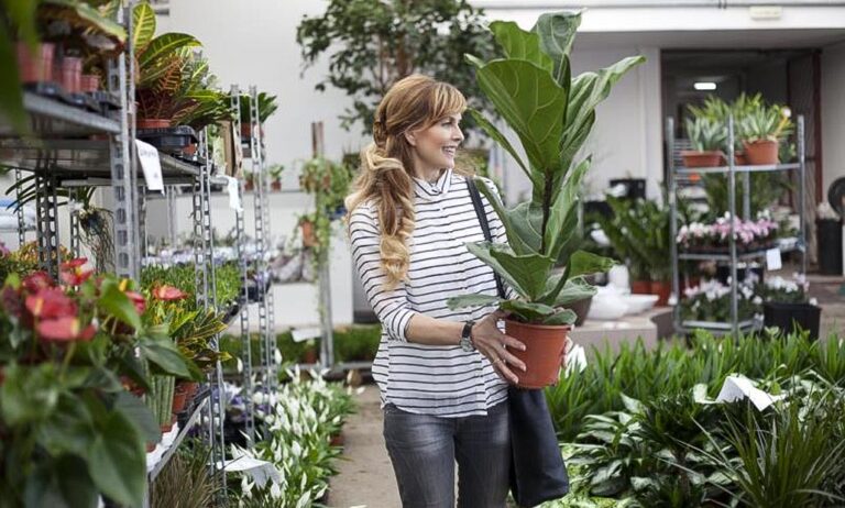exportacion_plantas_y_flores_06042022085154