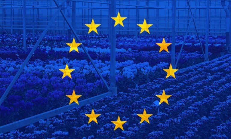 exportaciones_ue_26082021111857