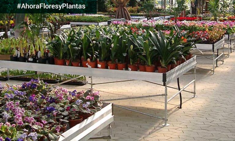fase1-centrosdejardineria_08052020112057