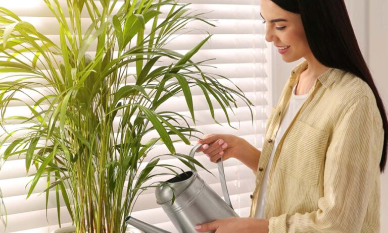 fepex_plantas_01092023083015