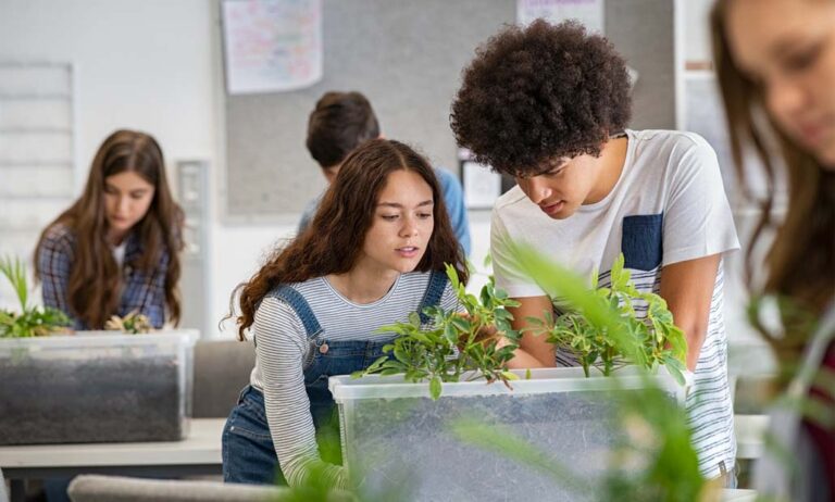College students studying plants at biology lesson at school