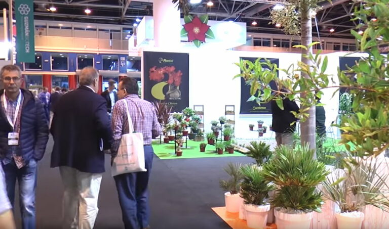 feria_flower_and_garden_23082019090107